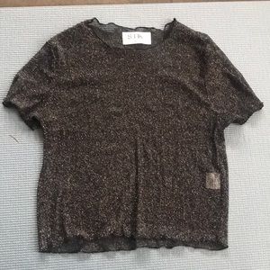 See thru mesh glitter top